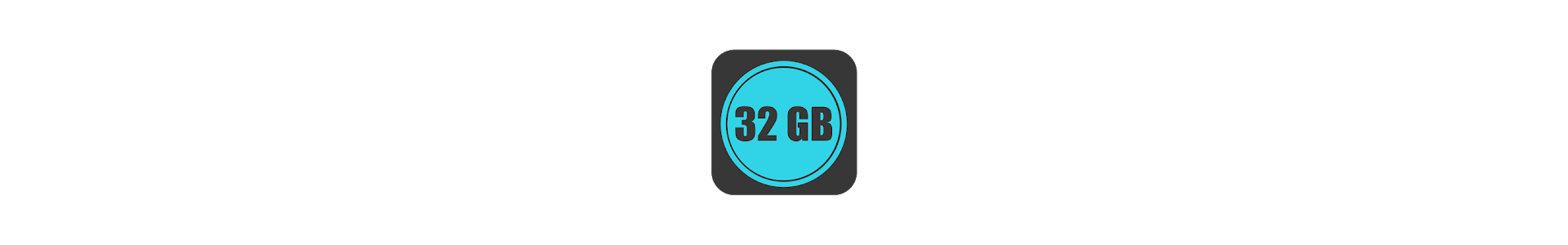 SD Card 32GB